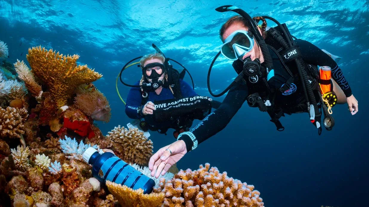 “4-hour diving trip on a 42-foot boat (open boat)